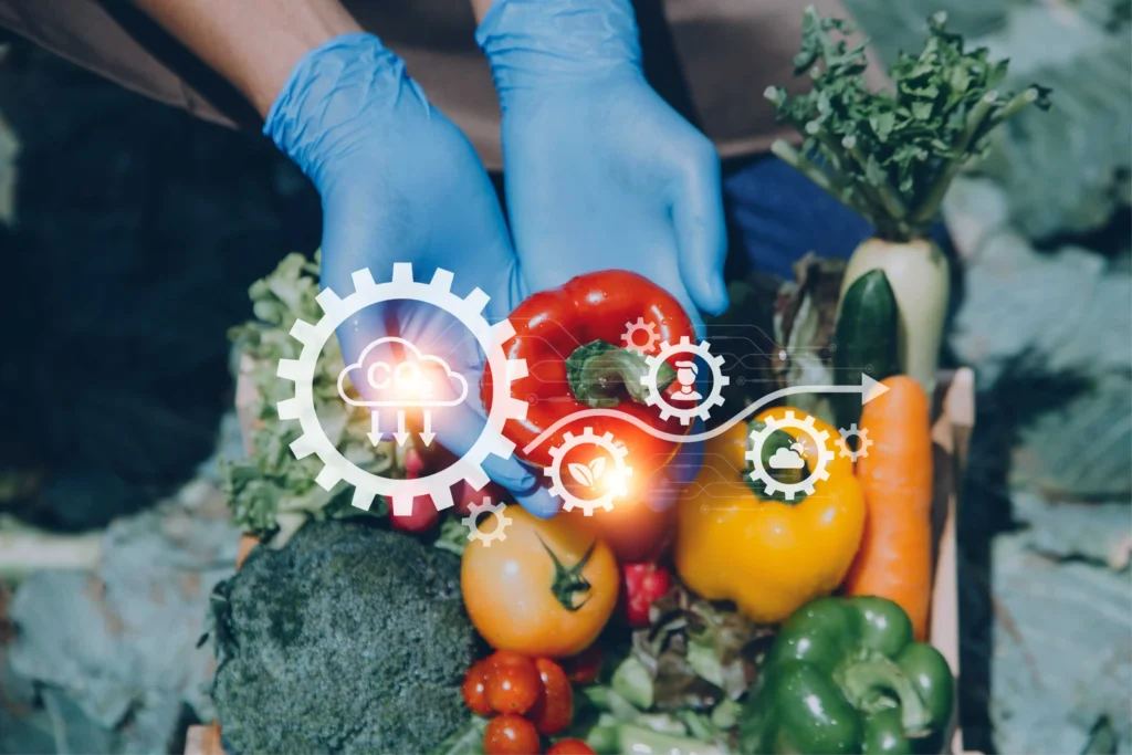 De la Gastronomía de la Experiencia a la Gastronomía del Bienestar: Un Llamado a la Transformación